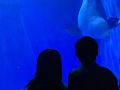 -多彩贵州城极地海洋世界