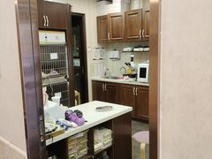 -宠爱国际动物医院·消化内科·心肾内科·ISFM猫友好(望京店)
