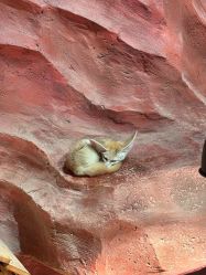 -Zoolung Zoolung动物主题公园(海信广场店)