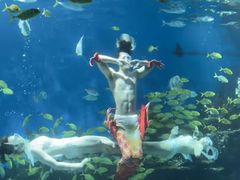 -海合安武汉极地海洋公园