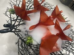 -迦南苑·新派青岛菜·生日纪念日主题餐厅