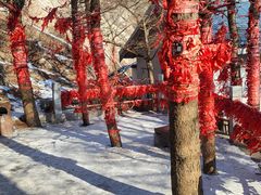 -崂山巨峰游览区