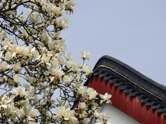 -堤角公园