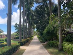 -宴悦海鲜餐厅·游水海鲜·牛排(亚龙湾瑞吉店)