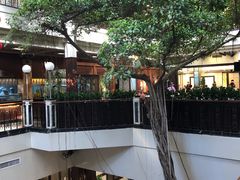 -广州酒家(文昌总店)