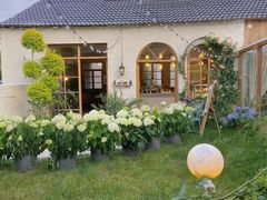-Jo's Garden