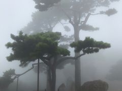 -妙峰山风景名胜区