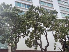 -马哥孛罗咖啡厅·Cafe Marco (厦门马哥孛罗东方大酒店)