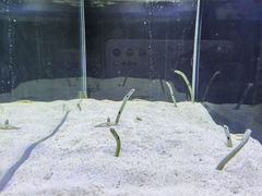 -沈阳海洋探索中心