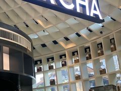 -MAMACHA妈妈茶(岳麓山店)