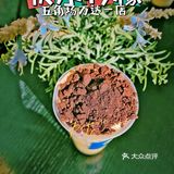 快乐柠檬出新品 我来帮你试