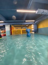 -宝燕乐园(闵行旗舰店)