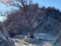 -鹫峰国家森林公园