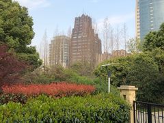 -上海国际饭店