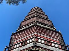 -顺峰山公园