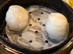 -添运来(茶园奥园广场店)