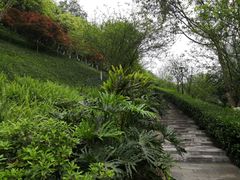 -龙头寺公园