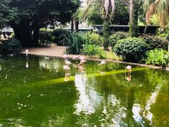 -香港皇家太平洋酒店