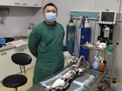 -瑞派雷欧宠物医院·中兽医·眼科·急重症转诊中心(黄台店)