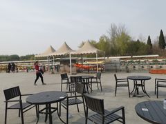 -布鲁豪斯亲子欢乐家庭餐厅