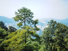 -九华山风景区