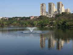 -重庆彩云湖湿地公园