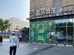 -盒马鲜生(大成店)