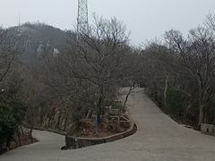 -紫金山山顶公园