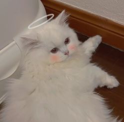 -慕拉美甲美睫皮肤管理