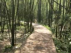 -四洞沟景区