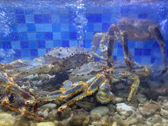 -渔家海鲜舫(宝湖路店)