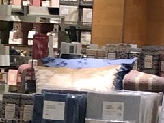 -ZARA(重庆华润万象城中区店)