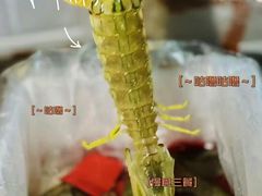 -凯华海鲜火锅·传承三十六年