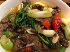 -曾牛肉