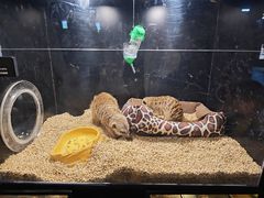 -太平洋海底世界