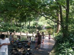 -成都市活水公园