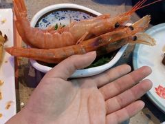 -乔哥铭洋海鲜自助(皇城恒隆广场店)