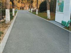 -昆山城市生态森林公园