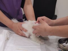 -萌兽医馆·犬猫专科·眼科中心·宠物医院(朝阳门分院)