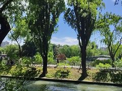 -皇家御河游(紫御湾码头)