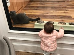 -袖虎·猫馆(体育西路店)