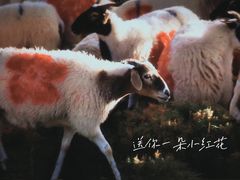 -博纳UA东方宝泰电影城