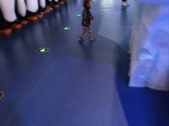 -芜湖新华联大白鲸海洋公园