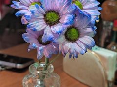 -Osteria Garden 生蚝花园餐厅(原进贤路店)