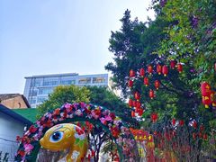 -越秀西湖花市(广州城市广场花卉店)