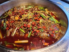 -宽口美蛙鱼头(大唐西市店)