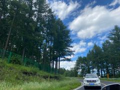 -塞罕坝国家级自然保护区