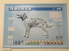 -瑞派宠物医院·24h·骨外科·皮肤科·全科宠物医疗转诊中心(沈阳浑南院)