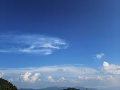 -王顺山国家森林公园