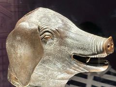 -合肥野生动物园